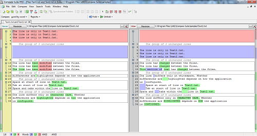 Diff tool for professionals